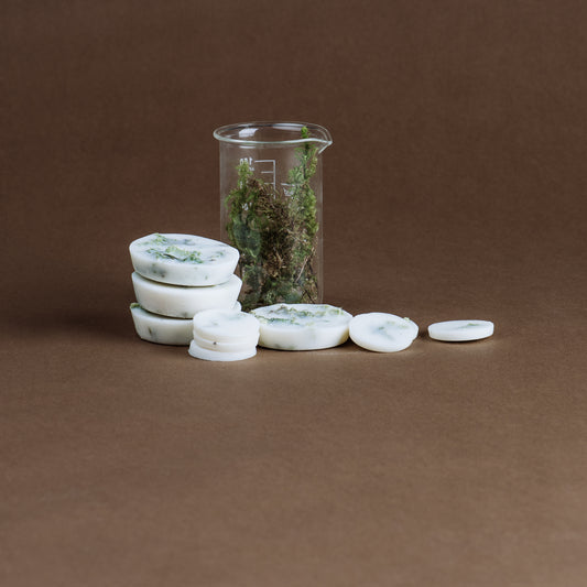 Moss Natural Scented Soy Wax Rounds